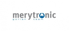 Merytronic логотип Merytronic логотип